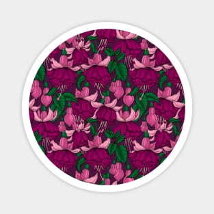 Fuchsia on dark purple Magnet